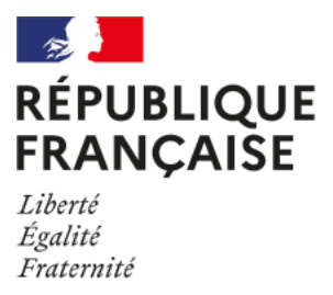 Ministère de l'Enseignement supérieur et de la Recherche. Liberté, Égalité, Fraternité.